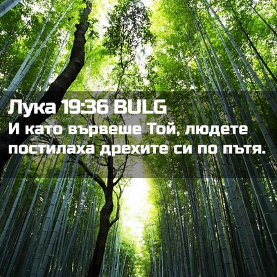 Picture 02 - Лука 19:36 BULG - И като вървеше Той, людете - Bible Verse Picture