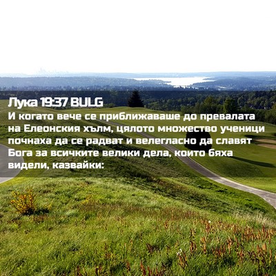 Picture 02 - Лука 19:37 BULG - И когато вече се - Bible Verse Picture