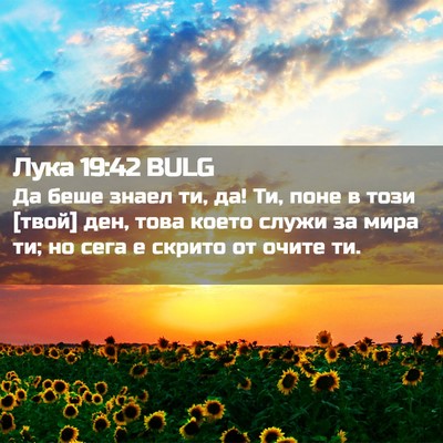 Picture 02 - Лука 19:42 BULG - Да беше знаел ти, да! Ти, - Bible Verse Picture