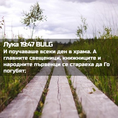 Picture 02 - Лука 19:47 BULG - И поучаваше всеки ден в - Bible Verse Picture