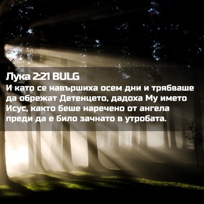 Picture 02 - Лука 2:21 BULG - И като се навършиха осем - Bible Verse Picture