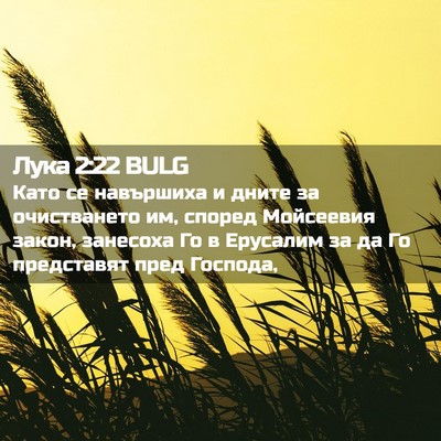 Picture 02 - Лука 2:22 BULG - Като се навършиха и дните - Bible Verse Picture