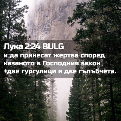Picture 02 - Лука 2:24 BULG - и да принесат жертва - Bible Verse Picture