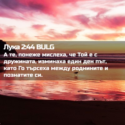 Picture 02 - Лука 2:44 BULG - А те, понеже мислеха, че Той - Bible Verse Picture