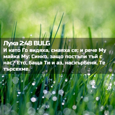 Picture 02 - Лука 2:48 BULG - И като Го видяха, смаяха се; - Bible Verse Picture