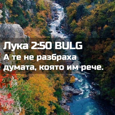 Picture 02 - Лука 2:50 BULG - А те не разбраха думата, - Bible Verse Picture