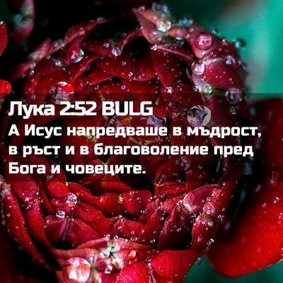 Picture 02 - Лука 2:52 BULG - А Исус напредваше в - Bible Verse Picture