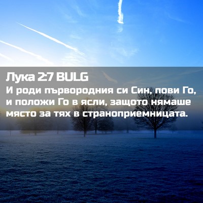 Picture 02 - Лука 2:7 BULG - И роди първородния си Син, - Bible Verse Picture