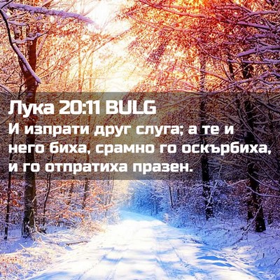 Picture 02 - Лука 20:11 BULG - И изпрати друг слуга; а те и - Bible Verse Picture