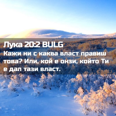 Picture 02 - Лука 20:2 BULG - Кажи ни с каква власт - Bible Verse Picture