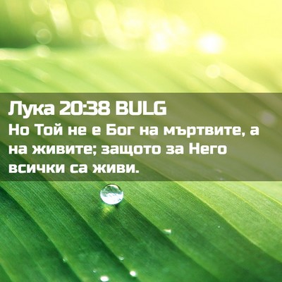 Picture 02 - Лука 20:38 BULG - Но Той не е Бог на мъртвите, - Bible Verse Picture