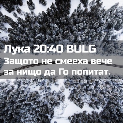 Picture 02 - Лука 20:40 BULG - Защото не смееха вече за - Bible Verse Picture