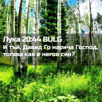 Picture 02 - Лука 20:44 BULG - И тъй, Давид Го нарича - Bible Verse Picture