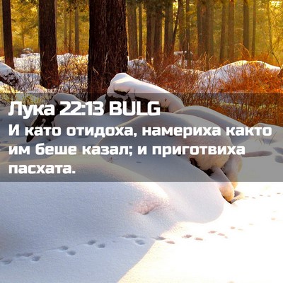 Picture 02 - Лука 22:13 BULG - И като отидоха, намериха - Bible Verse Picture