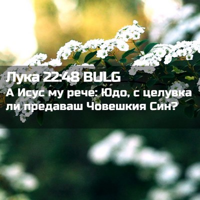 Picture 02 - Лука 22:48 BULG - А Исус му рече: Юдо, с - Bible Verse Picture