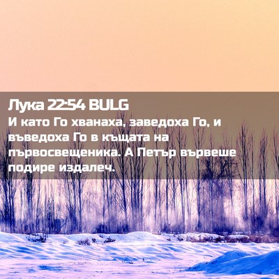 Picture 02 - Лука 22:54 BULG - И като Го хванаха, заведоха - Bible Verse Picture