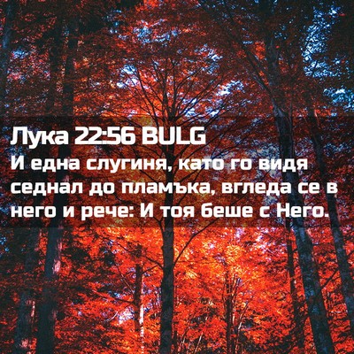Picture 02 - Лука 22:56 BULG - И една слугиня, като го - Bible Verse Picture