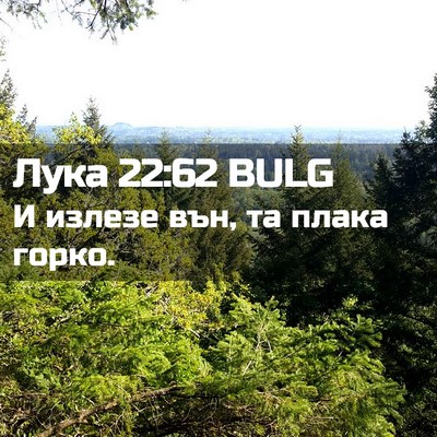 Picture 02 - Лука 22:62 BULG - И излезе вън, та плака - Bible Verse Picture