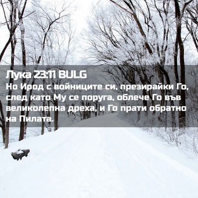 Picture 02 - Лука 23:11 BULG - Но Ирод с войниците си, - Bible Verse Picture