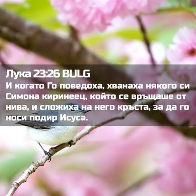 Picture 02 - Лука 23:26 BULG - И когато Го поведоха, - Bible Verse Picture