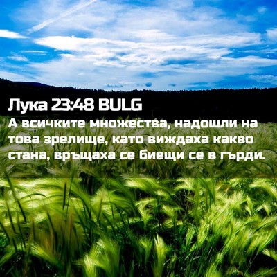 Picture 02 - Лука 23:48 BULG - А всичките множества, - Bible Verse Picture
