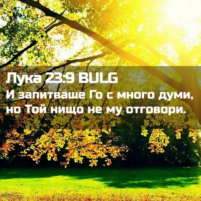 Picture 02 - Лука 23:9 BULG - И запитваше Го с много - Bible Verse Picture
