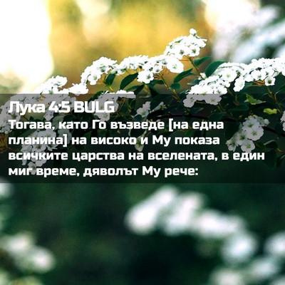 Picture 02 - Лука 4:5 BULG - Тогава, като Го възведе [на - Bible Verse Picture