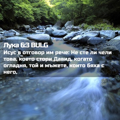 Picture 02 - Лука 6:3 BULG - Исус в отговор им рече: Не - Bible Verse Picture