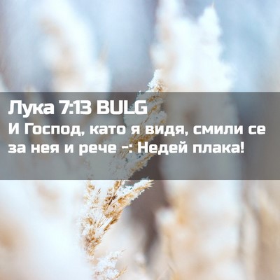Picture 02 - Лука 7:13 BULG - И Господ, като я видя, смили - Bible Verse Picture