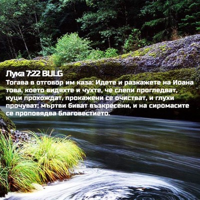 Picture 02 - Лука 7:22 BULG - Тогава в отговор им каза: - Bible Verse Picture