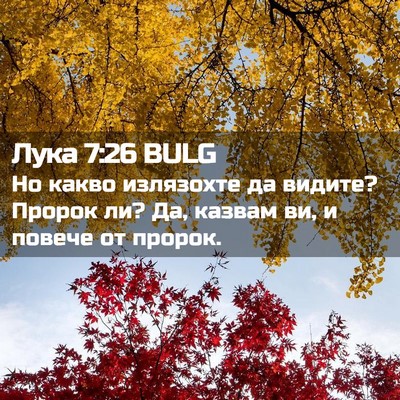 Picture 02 - Лука 7:26 BULG - Но какво излязохте да - Bible Verse Picture