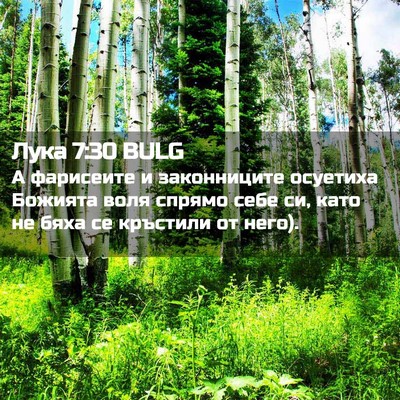 Picture 02 - Лука 7:30 BULG - А фарисеите и законниците - Bible Verse Picture