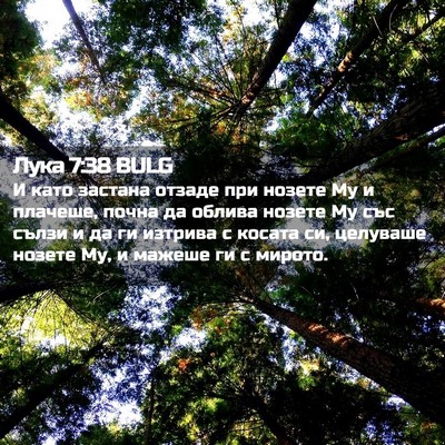 Picture 02 - Лука 7:38 BULG - И като застана отзаде при - Bible Verse Picture