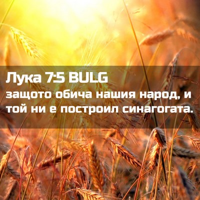 Picture 02 - Лука 7:5 BULG - защото обича нашия народ, и - Bible Verse Picture