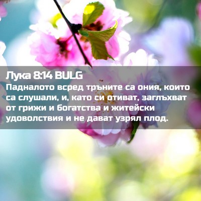 Picture 02 - Лука 8:14 BULG - Падналото всред тръните са - Bible Verse Picture