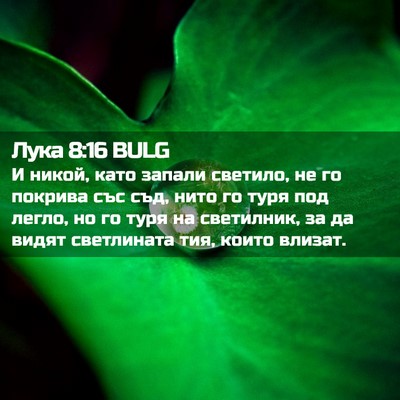 Picture 02 - Лука 8:16 BULG - И никой, като запали - Bible Verse Picture