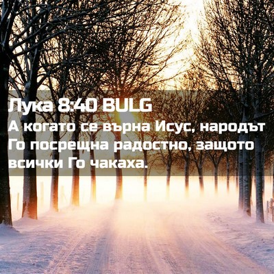 Picture 02 - Лука 8:40 BULG - А когато се върна Исус, - Bible Verse Picture