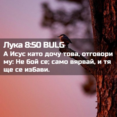 Picture 02 - Лука 8:50 BULG - А Исус като дочу това, - Bible Verse Picture
