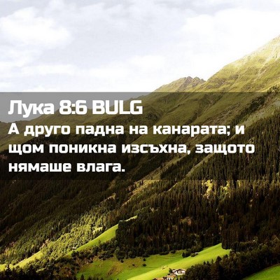 Picture 02 - Лука 8:6 BULG - А друго падна на канарата; - Bible Verse Picture