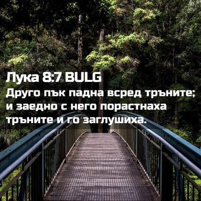 Picture 02 - Лука 8:7 BULG - Друго пък падна всред - Bible Verse Picture