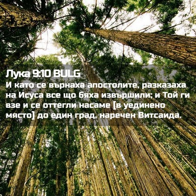 Picture 02 - Лука 9:10 BULG - И като се върнаха - Bible Verse Picture