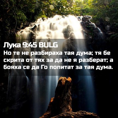 Picture 02 - Лука 9:45 BULG - Но те не разбираха тая - Bible Verse Picture