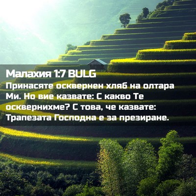 Picture 02 - Малахия 1:7 BULG - Принасяте осквернен хляб - Bible Verse Picture