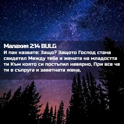 Picture 02 - Малахия 2:14 BULG - И пак казвате: Защо? Защото - Bible Verse Picture
