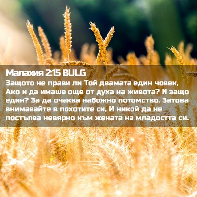 Picture 02 - Малахия 2:15 BULG - Защото не прави ли Той - Bible Verse Picture