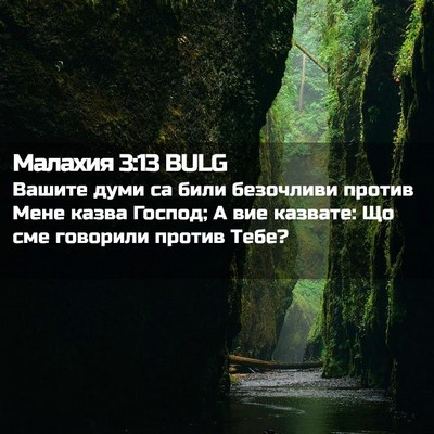 Picture 02 - Малахия 3:13 BULG - Вашите думи са били - Bible Verse Picture