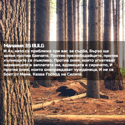 Picture 02 - Малахия 3:5 BULG - И Аз, като се приближа при - Bible Verse Picture