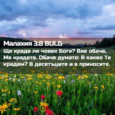 Picture 02 - Малахия 3:8 BULG - Ще краде ли човек Бога? Вие - Bible Verse Picture