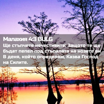 Picture 02 - Малахия 4:3 BULG - Ще стъпчете нечестивите; - Bible Verse Picture