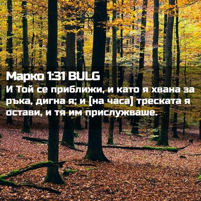 Picture 02 - Марко 1:31 BULG - И Той се приближи, и като я - Bible Verse Picture